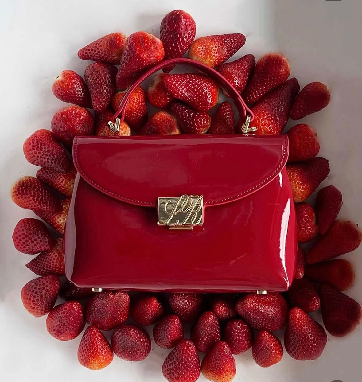 Borsa a mano LESLIE VERNICE